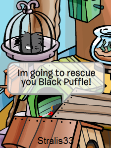 black puffle rescue