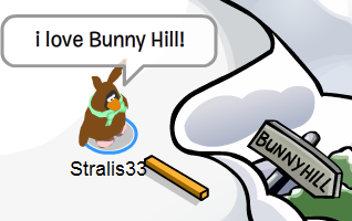 bunny-hill