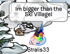ski village